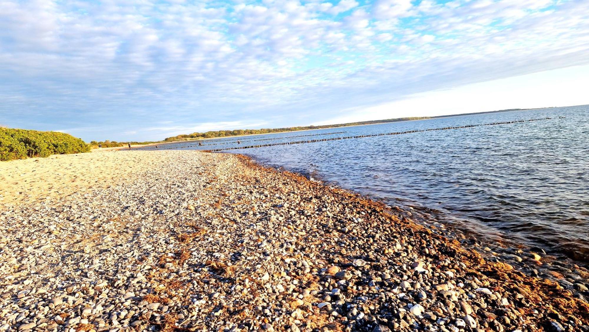 App 8O Grosser Tag Am Meer Mit Wasserblick Dranske Exteriör bild